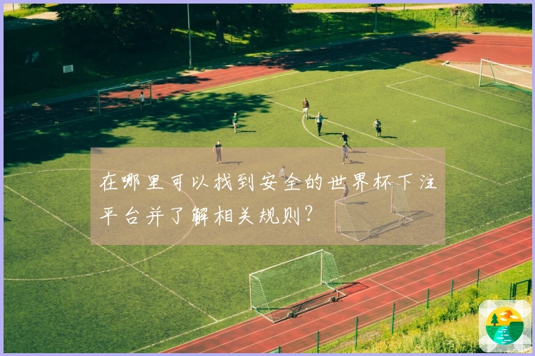 在哪里可以找到安全的世界杯下注平台并了解相关规则？