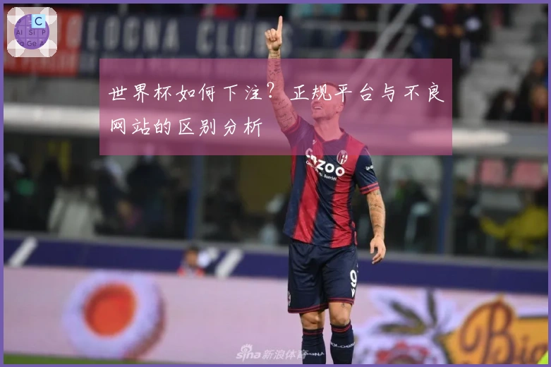 世界杯如何下注？正规平台与不良网站的区别分析