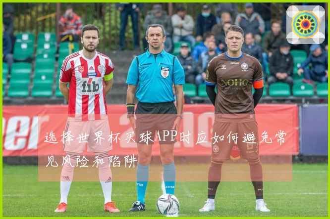 选择世界杯买球APP时应如何避免常见风险和陷阱