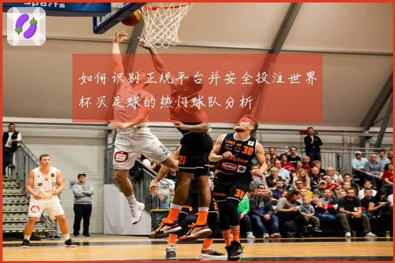 如何识别正规平台并安全投注世界杯买足球的热门球队分析