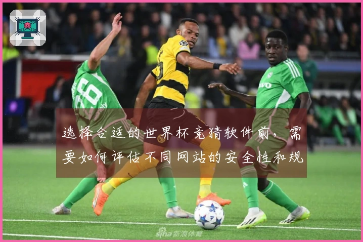 选择合适的世界杯竞猜软件前，需要如何评估不同网站的安全性和规则？