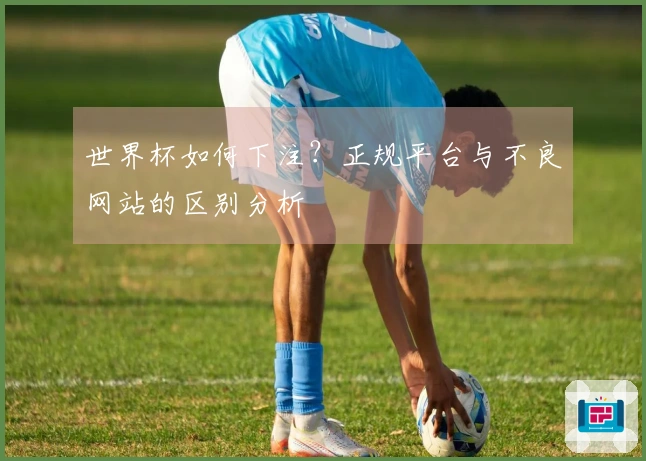 世界杯如何下注？正规平台与不良网站的区别分析